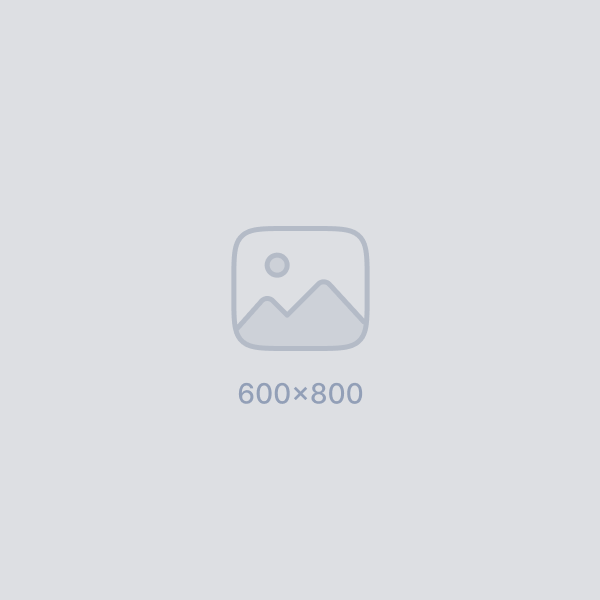 11Pic 60001234234122s21s