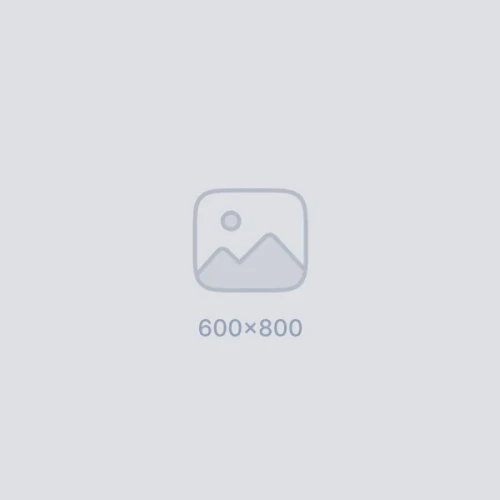 11Pic 60001234234122s21s