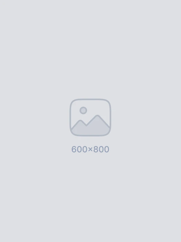 11Pic 60001234234122s21s